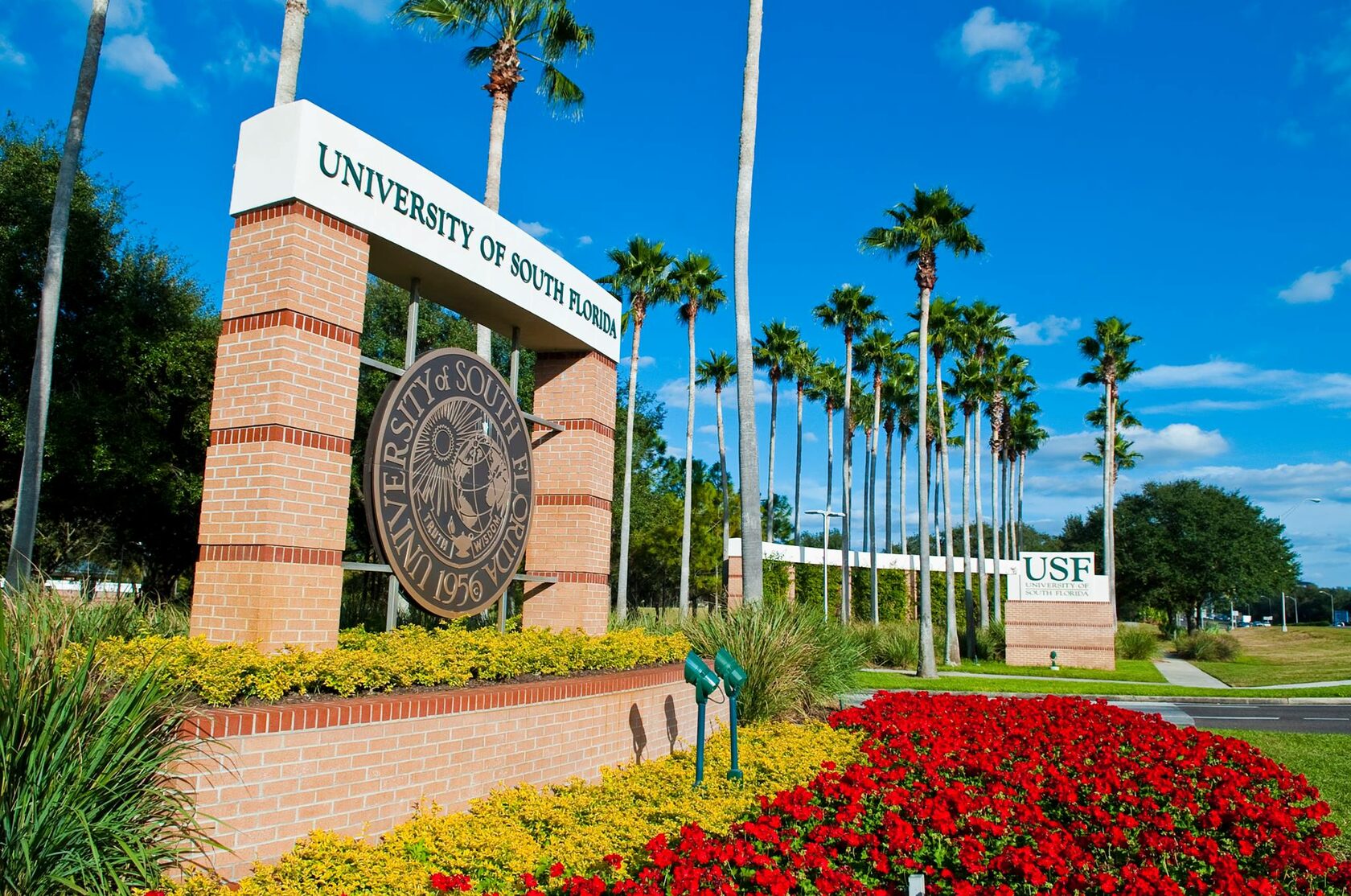 Университеты США, University of South Florida