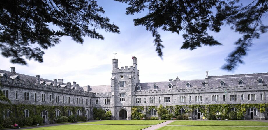 Ирландский национальный университет в Корке (National University of Ireland, Cork)