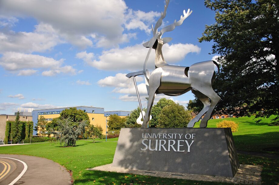 Университет Суррей (University Of Surrey)
